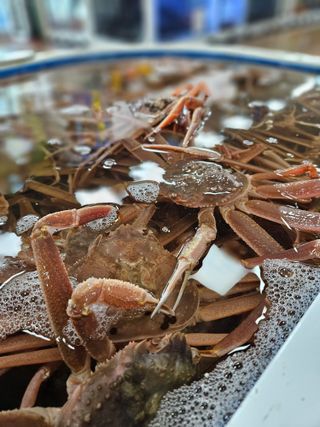 노가네수산님의 자유주제 · 사진전 작성글 사진