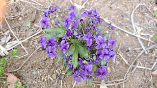 풀꽃향기님의 자유주제 · 자유게시판 작성글 사진