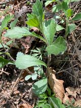 팜모닝 자유주제·사진전 게시글 이미지