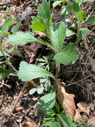 임동명님의 자유주제 · 사진전 작성글 사진