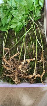 팜모닝 자유주제·사진전 게시글 이미지