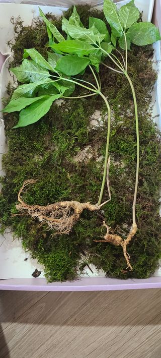 (천지산)님의 자유주제 · 사진전 작성글 사진