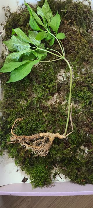 (천지산)님의 자유주제 · 사진전 작성글 사진