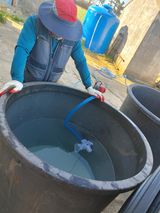 팜모닝 파·영농일지 게시글 이미지