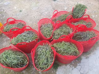 한승우님의 자유주제 · 자유게시판 작성글 사진