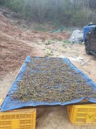 한승우님의 자유주제 · 자유게시판 작성글 사진