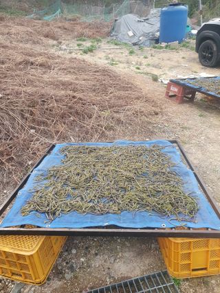 한승우님의 자유주제 · 자유게시판 작성글 사진