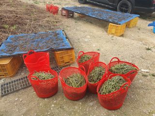 한승우님의 자유주제 · 자유게시판 작성글 사진