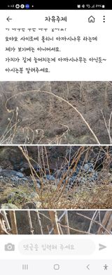 팜모닝 자유주제·자유게시판 게시글 이미지