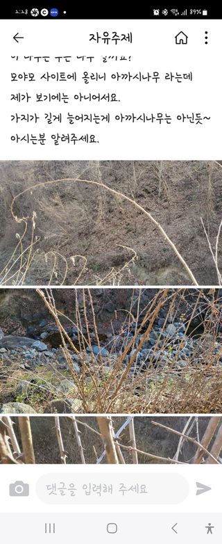 ♡5도2촌pys♡님의 자유주제 · 자유게시판 작성글 사진