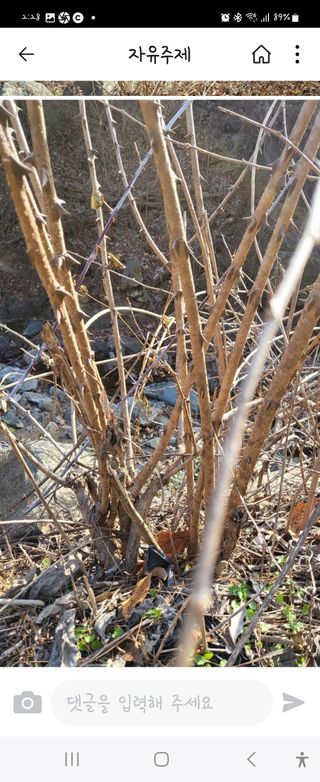 ♡5도2촌pys♡님의 자유주제 · 자유게시판 작성글 사진