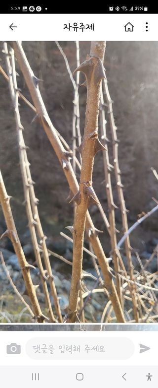 ♡5도2촌pys♡님의 자유주제 · 자유게시판 작성글 사진