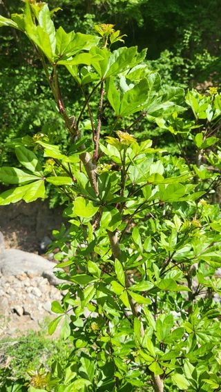 ♡5도2촌pys♡님의 자유주제 · 자유게시판 작성글 사진