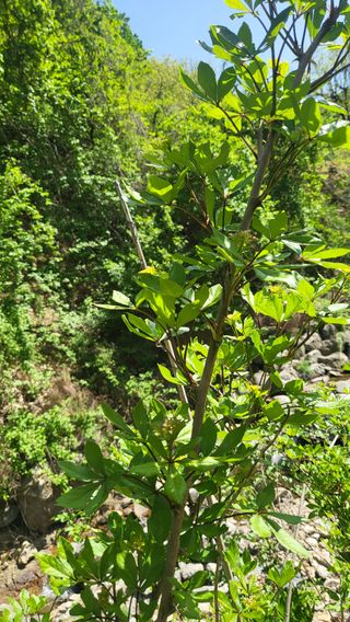 ♡5도2촌pys♡님의 자유주제 · 자유게시판 작성글 사진