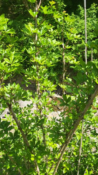 ♡5도2촌pys♡님의 자유주제 · 자유게시판 작성글 사진