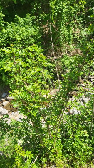 ♡5도2촌pys♡님의 자유주제 · 자유게시판 작성글 사진