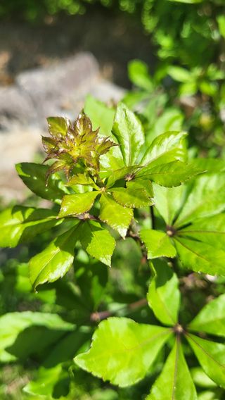 ♡5도2촌pys♡님의 자유주제 · 자유게시판 작성글 사진