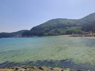 울금박사/빈덕열목사님의 자유주제 · 자유게시판 작성글 사진