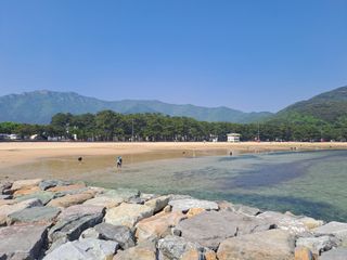 울금박사/빈덕열목사님의 자유주제 · 자유게시판 작성글 사진