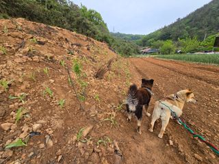 김세리님의 자유주제 · 자유게시판 작성글 사진