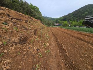 김세리님의 자유주제 · 자유게시판 작성글 사진