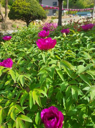 이동기님의 자유주제 · 자유게시판 작성글 사진