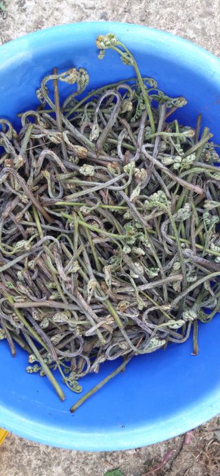 윤용호님의 자유주제 · 자유게시판 작성글 사진