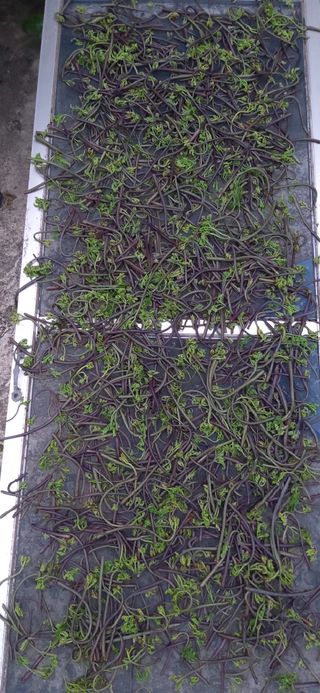 윤용호님의 자유주제 · 자유게시판 작성글 사진