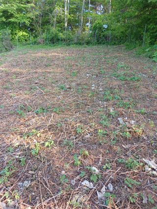 김영경님의 자유주제 · 자유게시판 작성글 사진