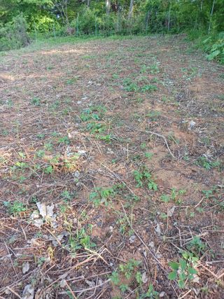 김영경님의 자유주제 · 자유게시판 작성글 사진