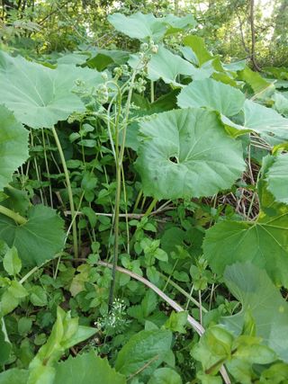 김영경님의 자유주제 · 자유게시판 작성글 사진