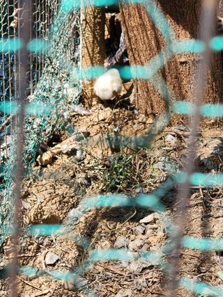 권지연.옥천.님의 자유주제 · 자유게시판 작성글 사진