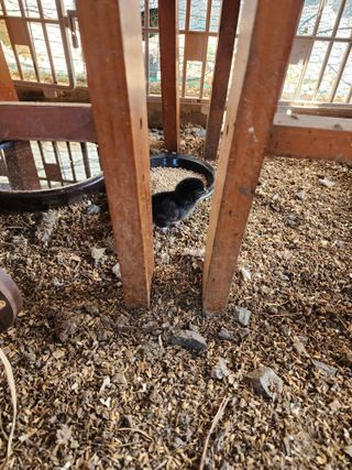 권지연.옥천.님의 자유주제 · 자유게시판 작성글 사진