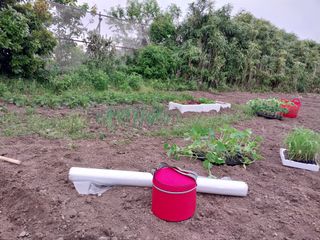 요리하는 메아리 님의 농사, 무엇이든 물어보세요! · 참여글 작성글 사진