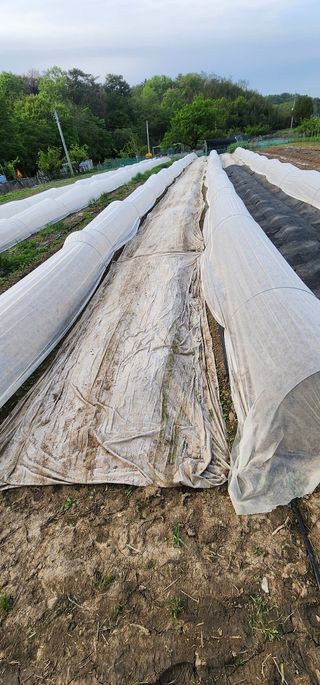 김선희님의 자유주제 · 자유게시판 작성글 사진