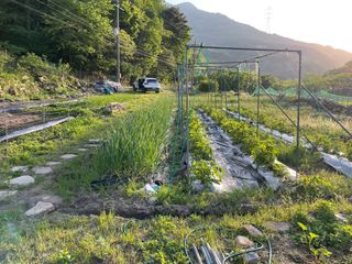 도곡님의 자유주제 · 자유게시판 작성글 사진