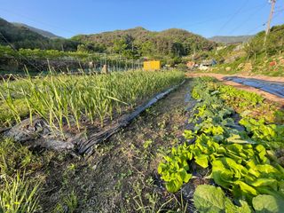 도곡님의 자유주제 · 자유게시판 작성글 사진