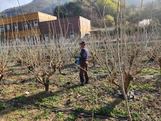 최군환님의 그곳에서 농사하게 된 계기는? · 참여글 작성글 사진