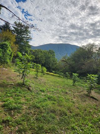 최군환님의 그곳에서 농사하게 된 계기는? · 참여글 작성글 사진