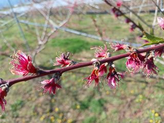 덩더쿵님의 그곳에서 농사하게 된 계기는? · 참여글 작성글 사진