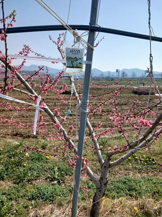 덩더쿵님의 그곳에서 농사하게 된 계기는? · 참여글 작성글 사진