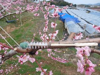 덩더쿵님의 그곳에서 농사하게 된 계기는? · 참여글 작성글 사진