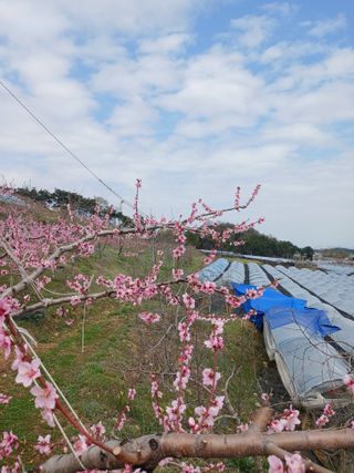 덩더쿵님의 그곳에서 농사하게 된 계기는? · 참여글 작성글 사진