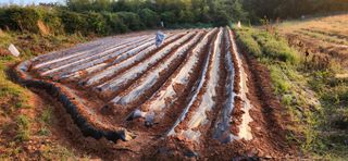 품질좋은농산물생산님의 그곳에서 농사하게 된 계기는? · 참여글 작성글 사진