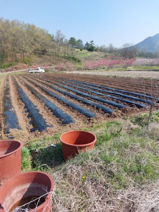 김치환님의 자유주제 · 사진전 작성글 사진