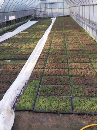 오영균 님의 자유주제 · 자유게시판 작성글 사진