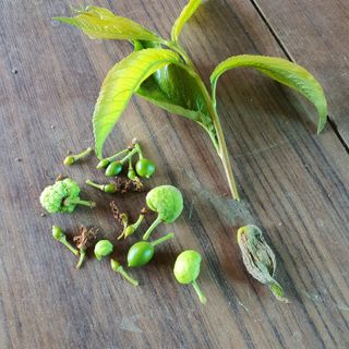 천농부님의 자유주제 · 건의해요 작성글 사진