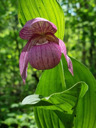 복사꽃마을 이창식님의 자유주제 · 자유게시판 작성글 사진