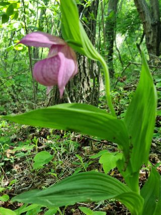 복사꽃마을 이창식님의 자유주제 · 자유게시판 작성글 사진