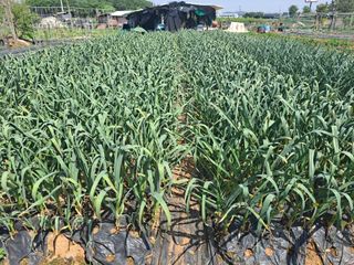 나누고싶어서님의 자유주제 · 자유게시판 작성글 사진